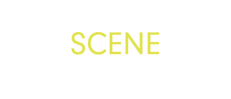 SCENE これ一つであらゆるシーンで活躍